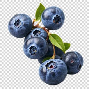 Natural Blueberry Fruits Transparent Background PNG