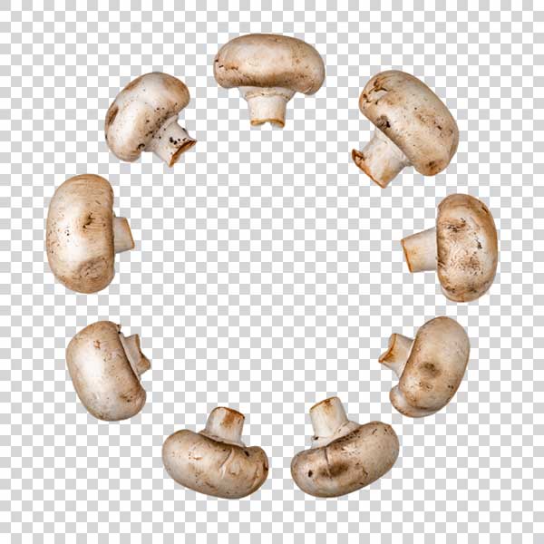 Organic Fresh Mushrooms Top View PNG