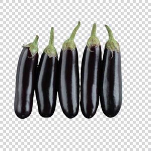 Organic Ripe Aubergine Front View PNG