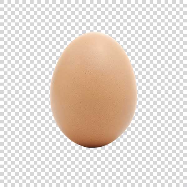 Photo Of Big Egg Front View PNG