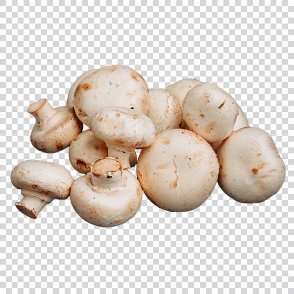 Photo Of Some White Mushrooms PNG