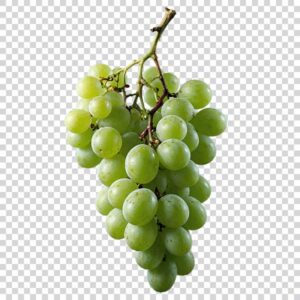 Portrait Of Appetizing Green Grapes PNG