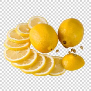 Portrait Of Tasty Lemon Slices PNG