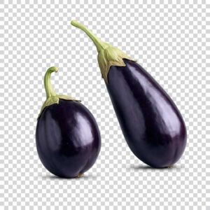 Portrait Of Two Ripe Eggplants PNG