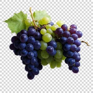 Ripe Black Grapes Transparent Background PNG