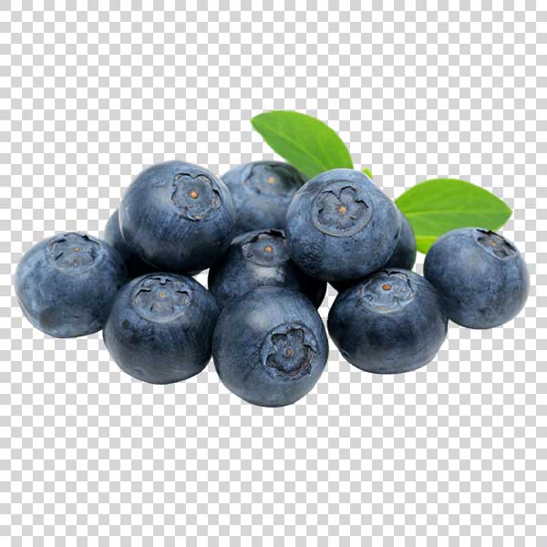 Ripe Blueberries Transparent Background PNG