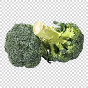 Ripe Broccoli Vegetable PNG