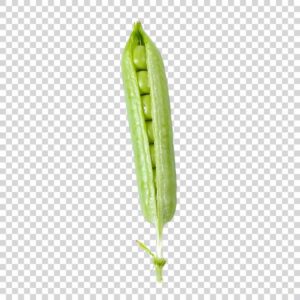 Ripe Green Pea Transparent Background PNG