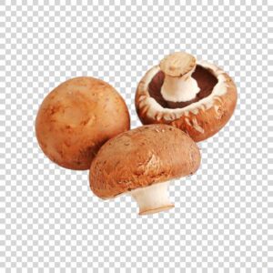 Shot Of Brown OrganicRipe Mushrooms PNG