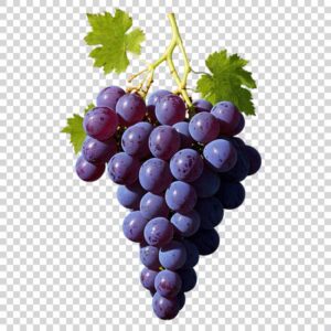 Tasty Black Grapes With Green Leaves Closeup PNG