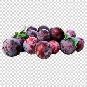 Tasty Plums Close Up PNG