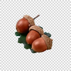 Three Acorns On Green Leaf PNG