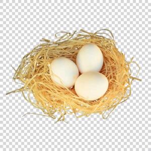 Three White Eggs Inside The Nest PNG