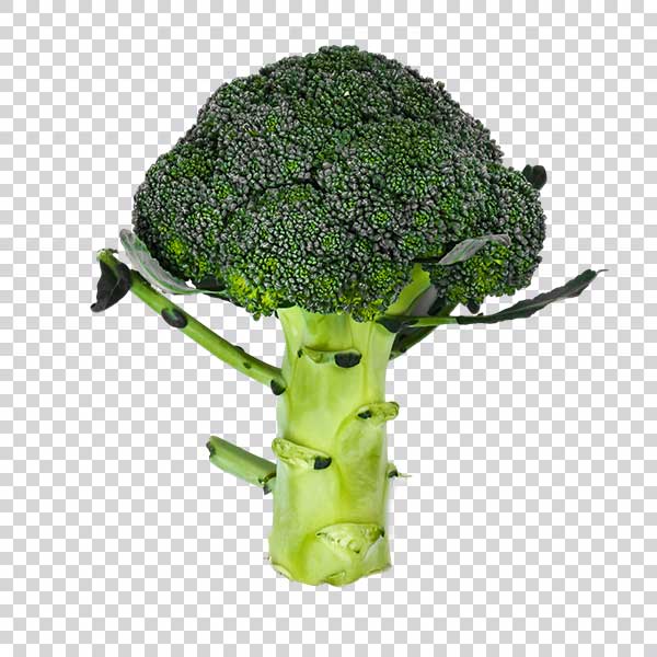 Top View Of Fresh Broccoli PNG