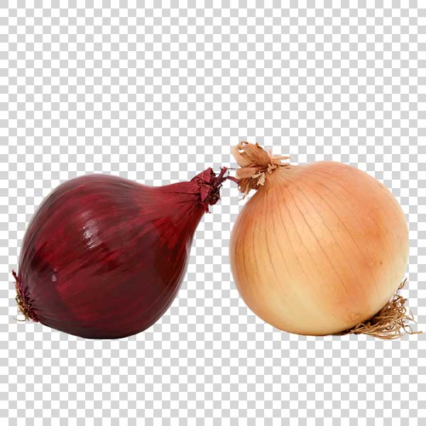 Two Ripe Onions Close Up PNG