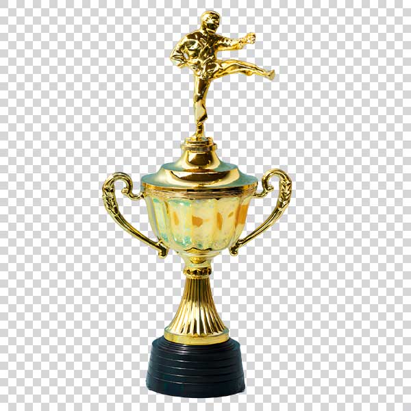 Award Trophy Cup Front View PNG