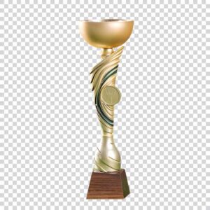 Award Trophy Cup Shot PNG