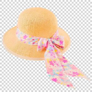 Beautiful Women Hat Transparent Background PNG