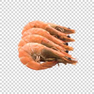 Close Up Of Big Shrimps PNG