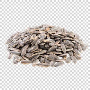 Close Up Of Delicious Sunflower Seeds PNG