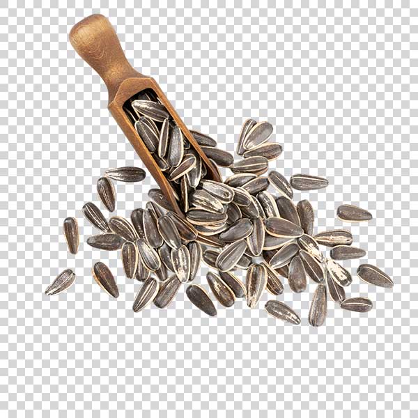 Photo Of Appetizing Sunflower Seeds PNG