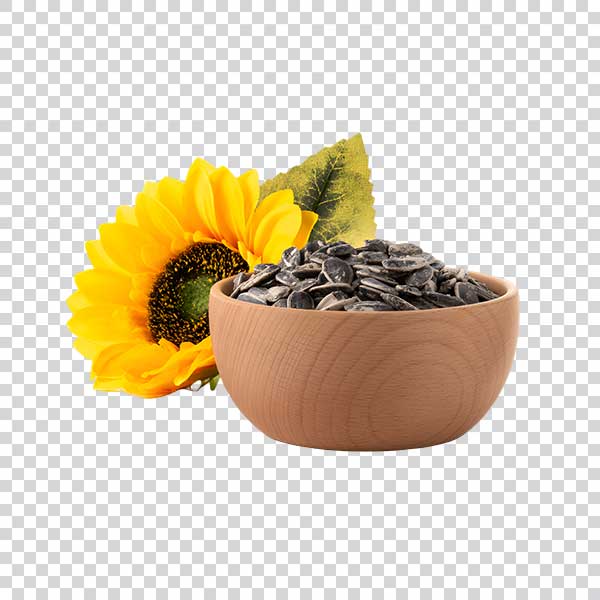 Photo Of Fresh Sunflower Seeds With Flower PNG