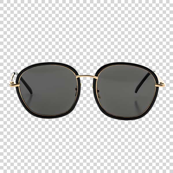 Portrait Of Expensive Sunglasses PNG