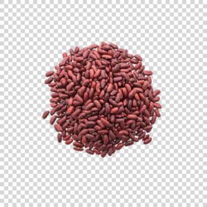 Portrait Of Natural Kidney Beans PNG