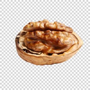 Ripe Walnut Half Slice Transparent Background PNG