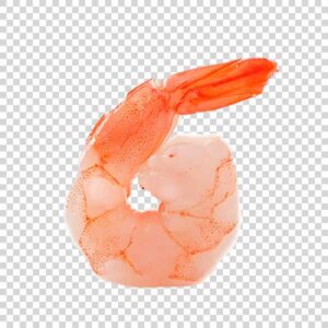 Shot Of Big Shrimp Transparent PNG