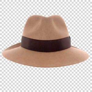 Shot Of Luxury Men Hat PNG