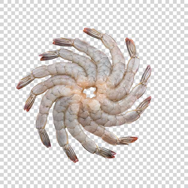 Transparent Big Shrimps Closeup PNG